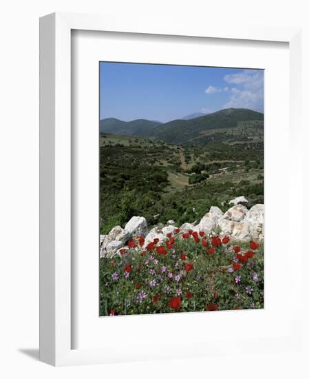 Flowers and Landscape, Greece-Tony Gervis-Framed Photographic Print