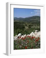 Flowers and Landscape, Greece-Tony Gervis-Framed Photographic Print