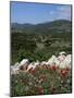 Flowers and Landscape, Greece-Tony Gervis-Mounted Photographic Print