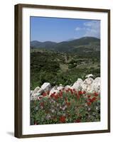 Flowers and Landscape, Greece-Tony Gervis-Framed Photographic Print