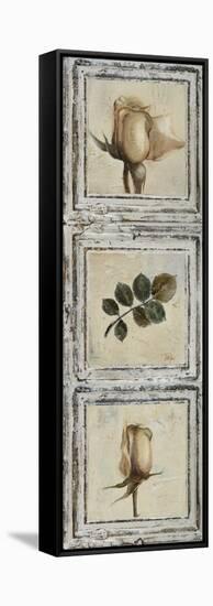 Flowers and Leaves III-Patricia Pinto-Framed Stretched Canvas