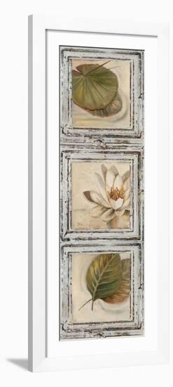 Flowers and Leaves IV-Patricia Pinto-Framed Art Print