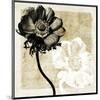 Flowers and Light II-Christine Zalewski-Mounted Art Print