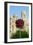 Flowers and Madrid Post Office, Madrid, Spain-null-Framed Photographic Print