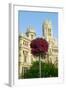 Flowers and Madrid Post Office, Madrid, Spain-null-Framed Photographic Print
