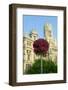 Flowers and Madrid Post Office, Madrid, Spain-null-Framed Photographic Print
