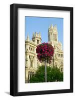 Flowers and Madrid Post Office, Madrid, Spain-null-Framed Photographic Print