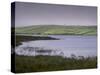 Flowers and Mist, Carrowmore Lake, County Mayo, Connacht, Republic of Ireland, Europe-Patrick Dieudonne-Stretched Canvas