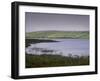 Flowers and Mist, Carrowmore Lake, County Mayo, Connacht, Republic of Ireland, Europe-Patrick Dieudonne-Framed Photographic Print