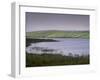 Flowers and Mist, Carrowmore Lake, County Mayo, Connacht, Republic of Ireland, Europe-Patrick Dieudonne-Framed Photographic Print