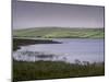 Flowers and Mist, Carrowmore Lake, County Mayo, Connacht, Republic of Ireland, Europe-Patrick Dieudonne-Mounted Photographic Print