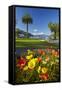 Flowers and Palm Trees, Foreshore Reserve, Picton, Marlborough Sounds, South Island, New Zealand-David Wall-Framed Stretched Canvas