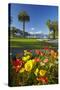 Flowers and Palm Trees, Foreshore Reserve, Picton, Marlborough Sounds, South Island, New Zealand-David Wall-Stretched Canvas