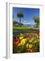 Flowers and Palm Trees, Foreshore Reserve, Picton, Marlborough Sounds, South Island, New Zealand-David Wall-Framed Photographic Print