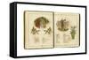 Flowers and People 1884-Kate Greenaway-Framed Stretched Canvas