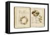 Flowers and People 1884-Kate Greenaway-Framed Stretched Canvas