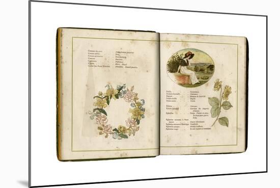 Flowers and People 1884-Kate Greenaway-Mounted Giclee Print