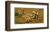 Flowers and Plants, 1795-null-Framed Premium Giclee Print