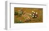 Flowers and Plants, 1795-null-Framed Premium Giclee Print