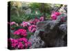 Flowers and Rocks in Traditional Chinese Garden, China-Keren Su-Stretched Canvas