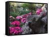 Flowers and Rocks in Traditional Chinese Garden, China-Keren Su-Framed Stretched Canvas