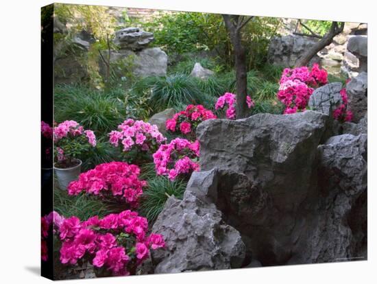 Flowers and Rocks in Traditional Chinese Garden, China-Keren Su-Stretched Canvas