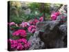 Flowers and Rocks in Traditional Chinese Garden, China-Keren Su-Stretched Canvas