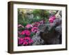 Flowers and Rocks in Traditional Chinese Garden, China-Keren Su-Framed Photographic Print