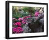 Flowers and Rocks in Traditional Chinese Garden, China-Keren Su-Framed Photographic Print