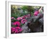 Flowers and Rocks in Traditional Chinese Garden, China-Keren Su-Framed Photographic Print