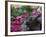 Flowers and Rocks in Traditional Chinese Garden, China-Keren Su-Framed Photographic Print