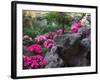 Flowers and Rocks in Traditional Chinese Garden, China-Keren Su-Framed Photographic Print