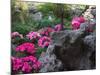 Flowers and Rocks in Traditional Chinese Garden, China-Keren Su-Mounted Photographic Print