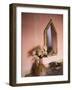 Flowers and Room Detail in Dessert House (Chez Julia), Merzouga, Tafilalt, Morocco-Walter Bibikow-Framed Photographic Print