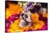 Flowers and Skull Laid out for Day of the Dead Celebration-Terry Eggers-Stretched Canvas