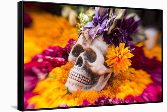 Flowers and Skull Laid out for Day of the Dead Celebration-Terry Eggers-Framed Stretched Canvas