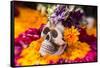 Flowers and Skull Laid out for Day of the Dead Celebration-Terry Eggers-Framed Stretched Canvas