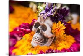 Flowers and Skull Laid out for Day of the Dead Celebration-Terry Eggers-Stretched Canvas