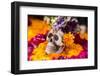 Flowers and Skull Laid out for Day of the Dead Celebration-Terry Eggers-Framed Premium Photographic Print