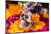 Flowers and Skull Laid out for Day of the Dead Celebration-Terry Eggers-Mounted Premium Photographic Print