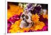 Flowers and Skull Laid out for Day of the Dead Celebration-Terry Eggers-Framed Photographic Print