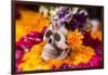 Flowers and Skull Laid out for Day of the Dead Celebration-Terry Eggers-Framed Photographic Print