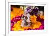 Flowers and Skull Laid out for Day of the Dead Celebration-Terry Eggers-Framed Photographic Print