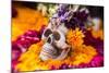 Flowers and Skull Laid out for Day of the Dead Celebration-Terry Eggers-Mounted Photographic Print