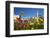 Flowers and St. Luke's Anglican Church, Oamaru, North Otago, South Island, New Zealand-David Wall-Framed Photographic Print