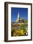 Flowers and St. Luke's Anglican Church, Oamaru, North Otago, South Island, New Zealand-David Wall-Framed Photographic Print