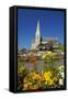 Flowers and St. Luke's Anglican Church, Oamaru, North Otago, South Island, New Zealand-David Wall-Framed Stretched Canvas