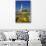 Flowers and St. Luke's Anglican Church, Oamaru, North Otago, South Island, New Zealand-David Wall-Photographic Print displayed on a wall