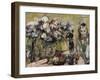 Flowers and the Artist's Daughter Wilhelmine, 1920-Lovis Corinth-Framed Giclee Print