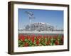 Flowers and the Birds Nest National Stadium in the Olympic Green, Beijing, China-Kober Christian-Framed Photographic Print